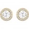 SWAROVSKI Angelic Pierced Earrings Gold Tone Plated 5505470