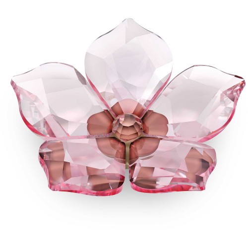 SWAROVSKI Garden Tales Cherry Blossom Magnet Large 5580026